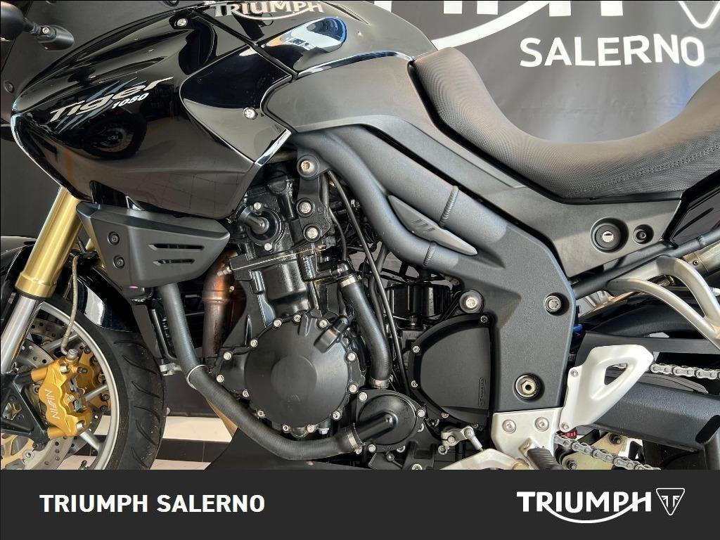 TRIUMPH Tiger 1050 